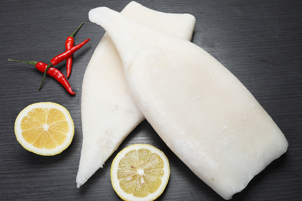 squid