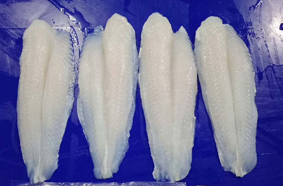 Swai (Pangasius) Basa