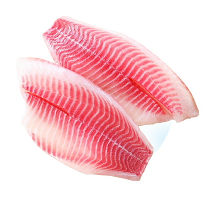 Tilapia