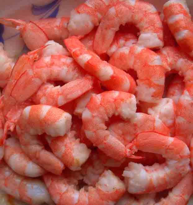 China_Frozen_red_shrimp2009171102570