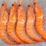 sell_shrimp